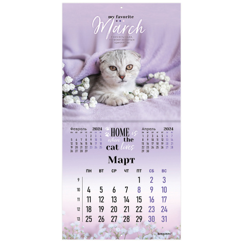 Календарь настенный перекидной на 2024 г., BRAUBERG, 12 листов, 29х29 см, "Милые котики", 115321 фото 5