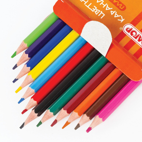 Карандаши цветные ПИФАГОР "КОТИК", 12 цветов, пластиковые, классические заточенные фото 5