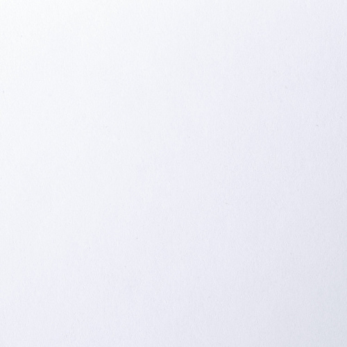 Папка для рисования BRAUBERG "Орел", А3, 20 л., 160 г/м2, 297х420 мм фото 4