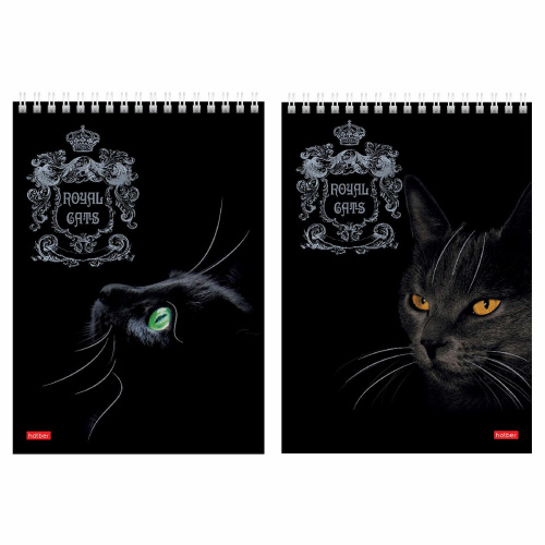 Блокнот HATBER "Royal Cats", А5, 146х215 мм, 80 л., гребень, клетка, ламинация, 3D фольга