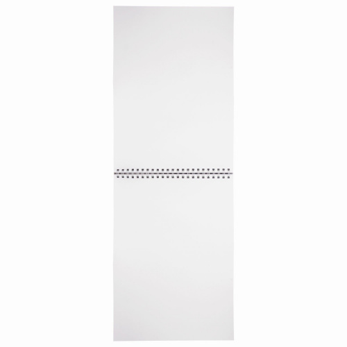 Скетчбук BRAUBERG, белая бумага 100г/м2, 205х290мм, 50л, гребень, жёсткая подложка фото 2