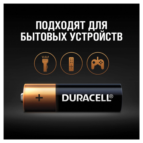 Батарейки DURACELL Basic, AA, 12 шт., алкалиновые, пальчиковые, блистер фото 2