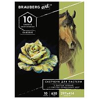 Альбом для пастелиBRAUBERG ART,  630 г/м2, 297x414 мм, 5+5 листов, картон черный+оливковый
