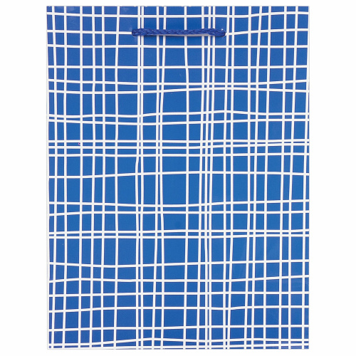 Пакет подарочный ЗОЛОТАЯ СКАЗКА "В голубую клетку", 17,8x9,8x22,9 см, ламинированный фото 2
