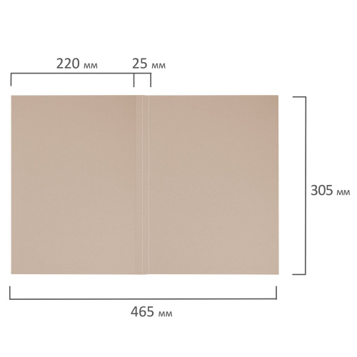 Папка без скоросшивателя BRAUBERG "Дело", картон, плотность 440 г/м2, до 200 л. фото 6