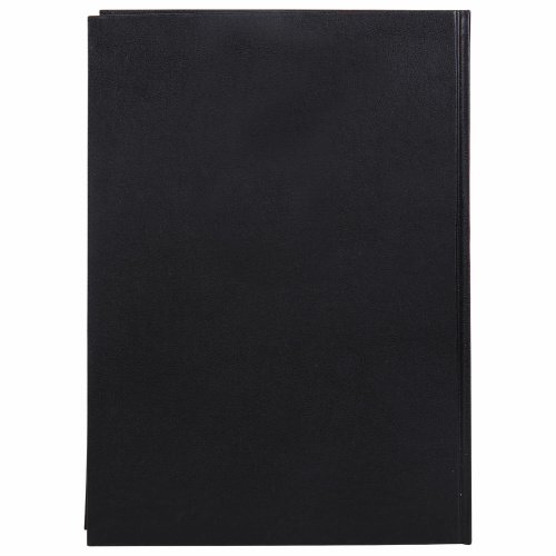 Книга учета 96 л., клетка, твердая, бумвинил, офсет, герб, А4 (200х290 мм), BRAUBERG, черная фото 3