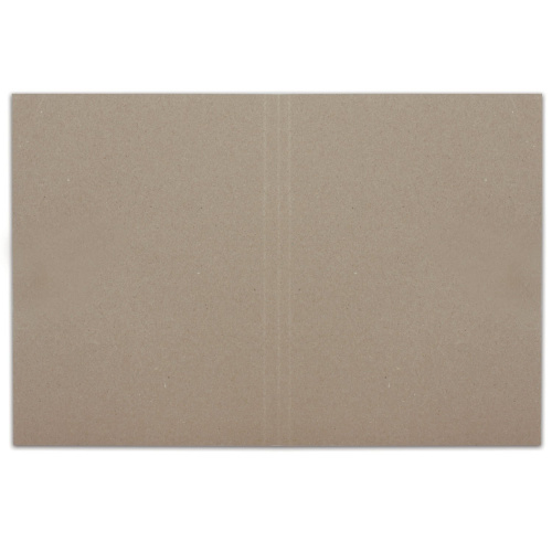 Папка без скоросшивателя BRAUBERG "Дело", картон, плотность 300 г/м2, до 200 л. фото 2