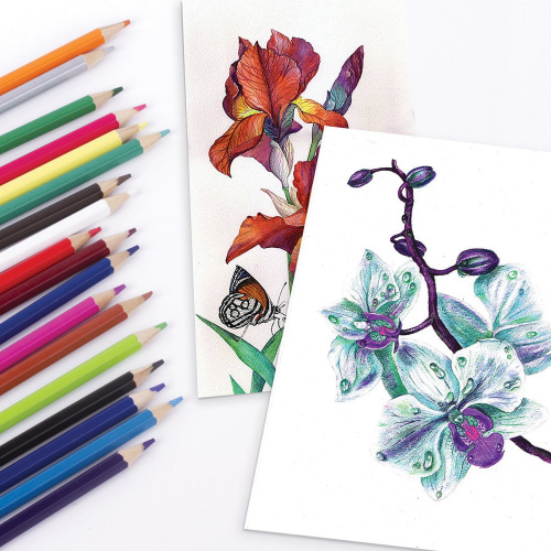 Карандаши цветные акварельные BRAUBERG "АКАДЕМИЯ", 18 цветов, шестигранные, высокое качество фото 8