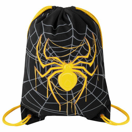 Мешок для обуви BRAUBERG PREMIUM, карман, подкладка, светоотражайка, 43х33 см, "Venomous spider"