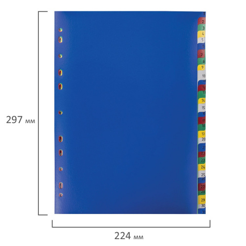 Разделитель пластиковый ОФИСМАГ, А4, 31 лист, цифровой 1-31, оглавление, цветной фото 4