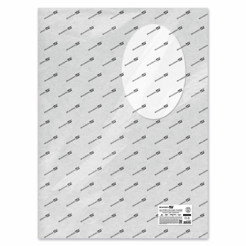 Бумага для акварели BRAUBERG ART "PREMIERE", 300 г/м2, 560x760 мм, среднее зерно, 10 листов фото 8