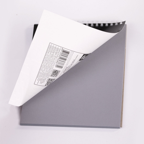 Скетчбук ПЗБМ "Одуванчик", серая бумага 120 г/м2, 170х195 мм, 30 л., гребень, цветная фольга фото 5