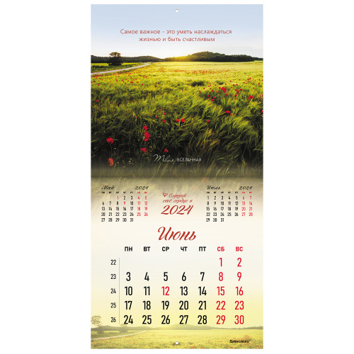 Календарь настенный перекидной на 2024 г., BRAUBERG, 12 листов, 29х29 см, "Твоя вселенная", 115320 фото 8