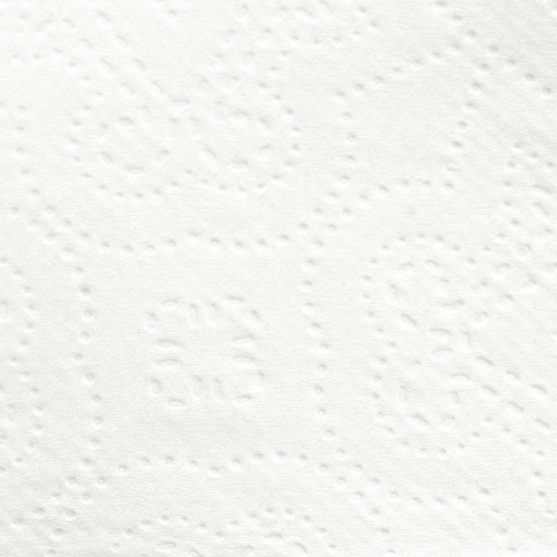 Полотенца бумажные LAIMA,  190 листов, 2-слойные, 24х21,6 см, Z-сложение фото 7