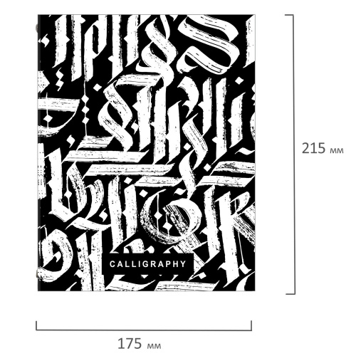 Тетрадь на кольцах BRAUBERG "Calligraphy", А5, 175х215 мм, 240 л., твердый картон, с разделителями фото 2