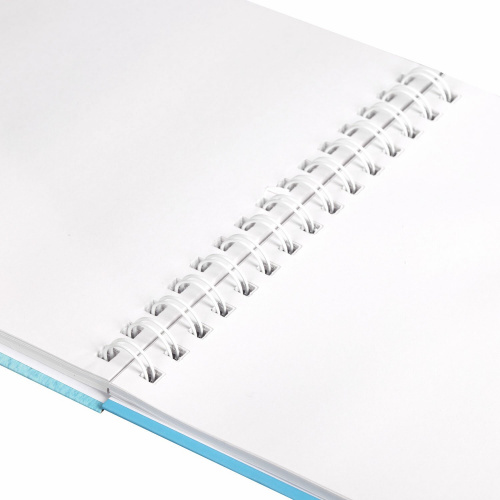 Скетчбук BRAUBERG ART DEBUT, белая бумага 100 г/м2 200х290 мм, 80 л., гребень, твердая обложка фото 7