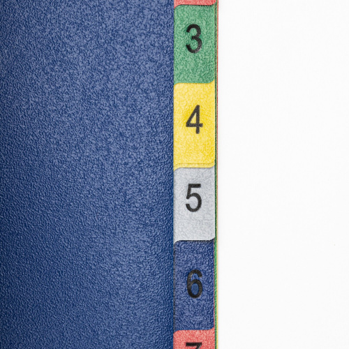 Разделитель пластиковый BRAUBERG, А4, 12 листов, цифровой 1-12, оглавление, цветной фото 4