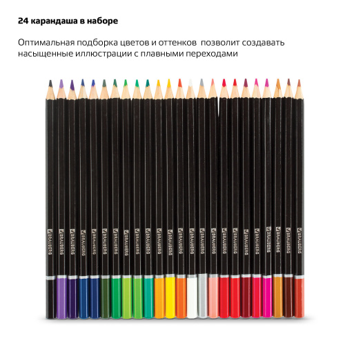Карандаши цветные акварельные BRAUBERG "Artist line", 24 цвета, заточенные, высшее качество фото 9