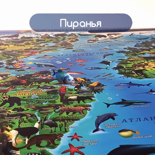 Карта мира ЮНЛАНДИЯ "Животный и растительный мир", 101х69 см, интерактивная, в тубусе фото 6