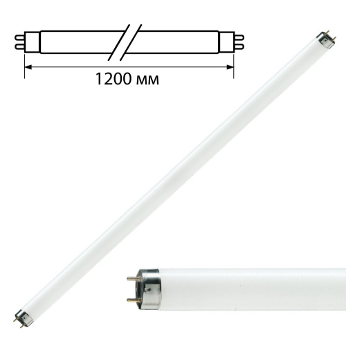 Лампа люминесцентная PHILIPS, 36 Вт, цоколь G13, в виде трубки 120 см