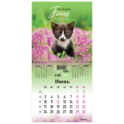 Календарь настенный перекидной на 2024 г., BRAUBERG, 12 листов, 29х29 см, "Милые котики", 115321 фото 2