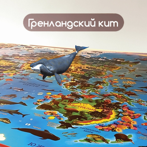 Карта мира ЮНЛАНДИЯ "Животный и растительный мир", 101х69 см, интерактивная, в тубусе фото 9