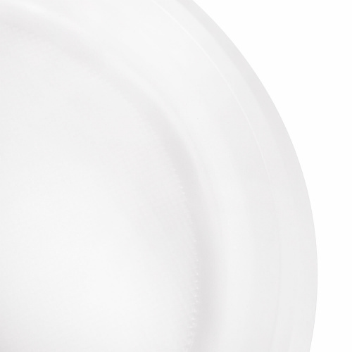 Одноразовые тарелки плоские LAIMA, 100 шт., пластик, d=220 мм, "БЮДЖЕТ", белые, ПС, холодное/горячее фото 4