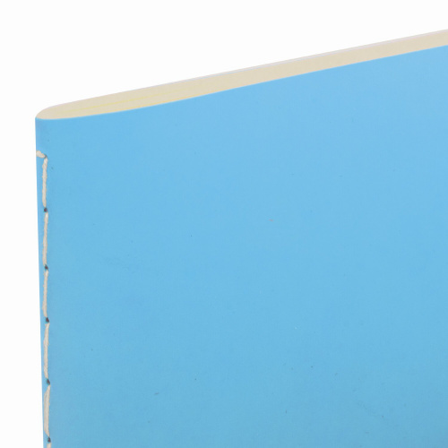 Тетрадь BRAUBERG RAINBOW, A5, 147х210 мм, 48 л. в точку обложка кожзам, сшивка, голубой фото 9