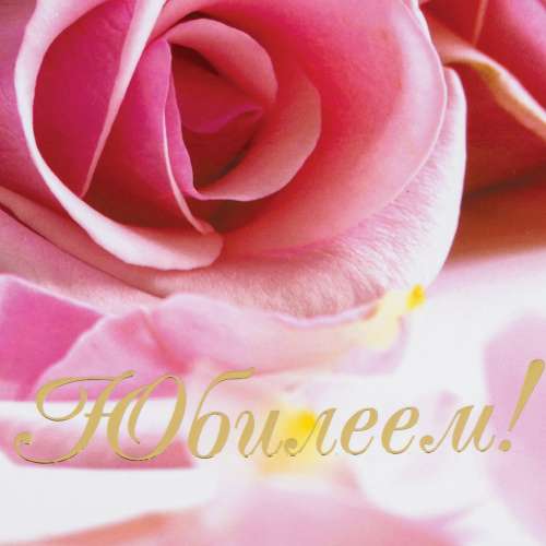 Папка адресная ламинированная STAFF "С ЮБИЛЕЕМ!", А4, розы, индивидуальная упаковка фото 4