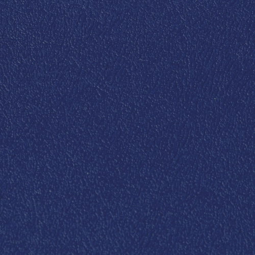 Тетрадь на кольцах BRAUBERG, А5, 180х220 мм, 80 л., обложка ПВХ, клетка, синий фото 2