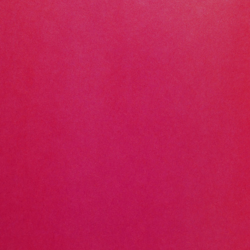 Цветная бумага BRAUBERG "Птица", А4, 200х280 мм, офсетная, 24 л., 24 цв., на скобе фото 4
