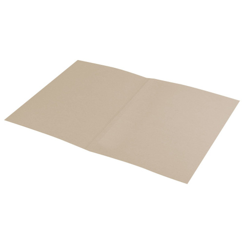 Папка без скоросшивателя BRAUBERG "Дело", картон мелованный, плотность 440 г/м2, до 200 л. фото 4