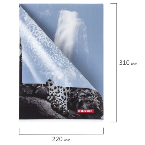 Папка-уголок BRAUBERG "LEOPARD", А4, 150 мкм, цветная печать фото 2