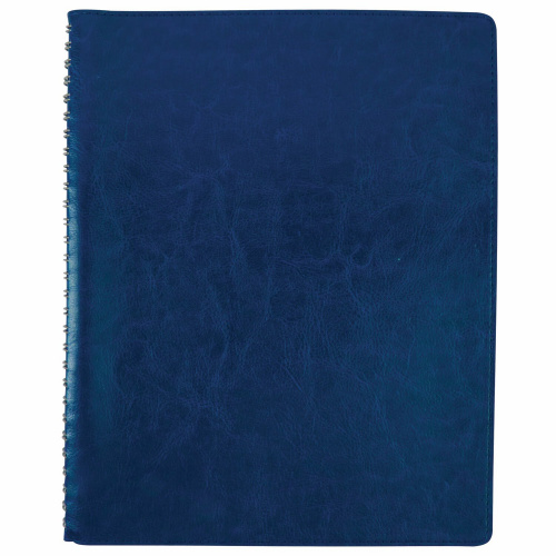 Тетрадь BRAUBERG, В5, 200x252 мм, под кожу, гребень, клетка, 80 л., синий фото 2