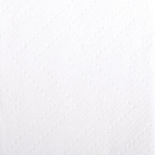 Полотенца бумажные LAIMA, 200 шт., 2-слойные, белые, 21 пачка, 24х21,6 фото 2