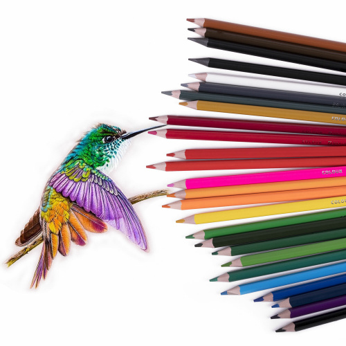 Карандаши цветные пластиковые, BRAUBERG PREMIUM 24 цвета + 2 чернографитных карандаша, 181937 фото 2