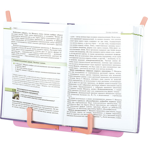 Подставка для книг и учебников BRAUBERG KIDS "Flamingo", регулируемый угол наклона, прочный ABS-пластик фото 2
