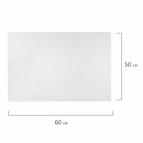 Холст акварельный на картоне BRAUBERG ART CLASSIC, 50х60 см, грунт, хлопок, мелкое зерно фото 7