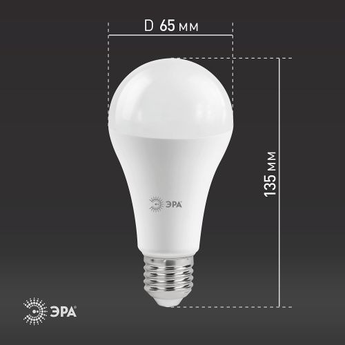 Лампа светодиодная ЭРА, 21 (75) Вт, цоколь E27, груша, нейтральный белый, 25000 ч фото 5