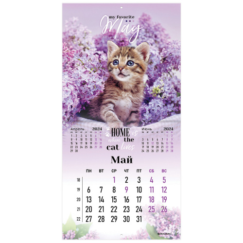 Календарь настенный перекидной на 2024 г., BRAUBERG, 12 листов, 29х29 см, "Милые котики", 115321 фото 3