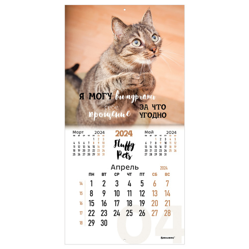 Календарь настенный перекидной на 2024 г., BRAUBERG, 12 листов, 29х29 см, "Кошечки", 115315 фото 5