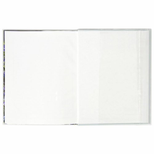 Обложка для дневников, учебников, прописей ПИФАГОР, 220х460 мм, 80 мкм, универсальная, клейкий край фото 4