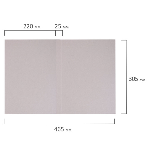 Папка без скоросшивателя BRAUBERG "Дело", картон мелованный, плотность 280 г/м2, до 200 л. фото 7