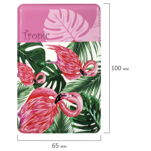 Обложка-карман для проездных документов, карт, пропусков STAFF "Tropic", 100х65 мм, фотопечать фото 3