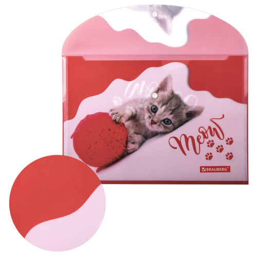 Папка-конверт с кнопкой BRAUBERG "FUNNY CAT", А4, 160 мкм, цветная печать фото 6