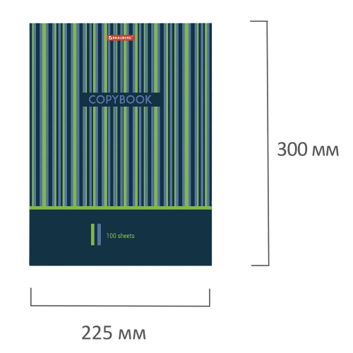 Тетрадь на кольцах BRAUBERG "Полосы", 225х300 мм, А4, 100 л., обложка картон, клетка фото 4