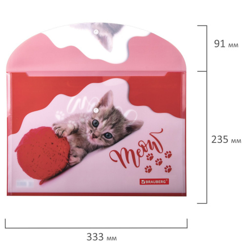 Папка-конверт с кнопкой BRAUBERG "FUNNY CAT", А4, 160 мкм, цветная печать фото 4