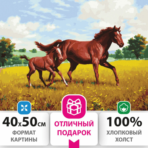 Картина по номерам ОСТРОВ СОКРОВИЩ "Лошади на лугу", 40х50 см, 3 кисти, акриловые краски