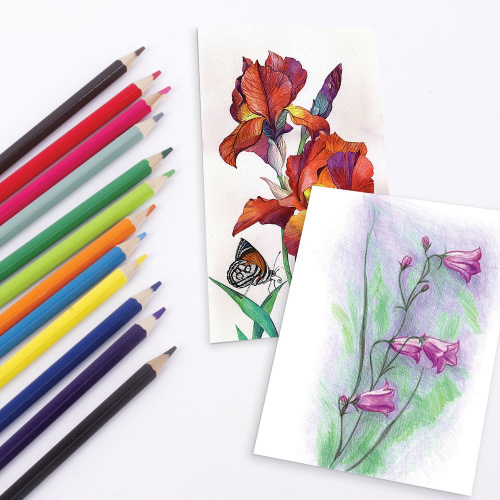 Карандаши цветные акварельные BRAUBERG "АКАДЕМИЯ", 12 цветов, шестигранные, высокое качество фото 5