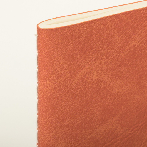 Тетрадь BRAUBERG SKY, 48 л., A5, 147х210мм, в клетку, обложка фактурный кожзам, сшивка, оранжевый фото 10
